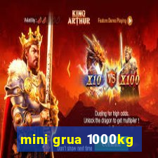 mini grua 1000kg